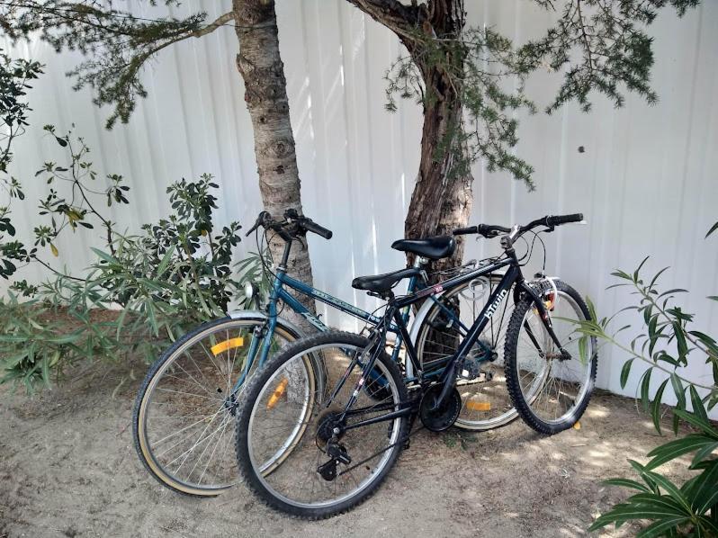 Maison Jardin Wifi - Climatisation - 100 M Plage Sauvage - 20 Min Perpignan Torreilles Bagian luar foto